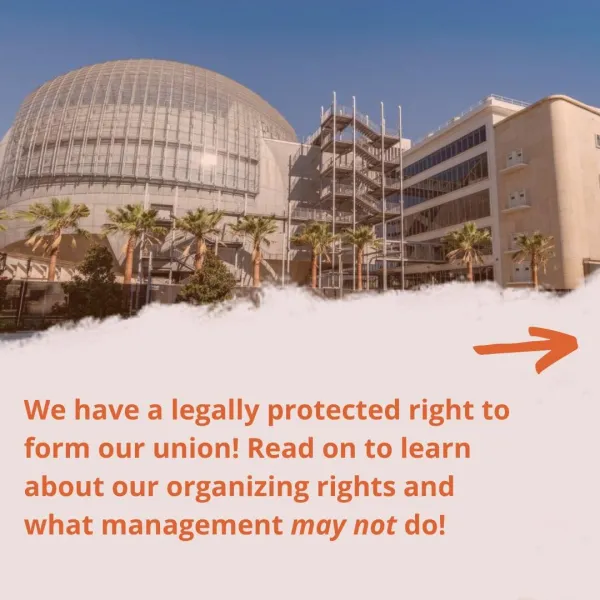 amwu_know_your_rights_2_.jpg