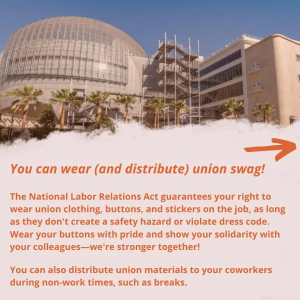 amwu_know_your_rights_4.jpg